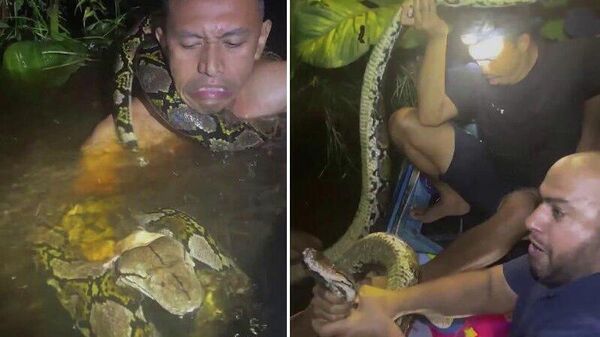 #viral | ከሞት ደጃፍ ደርሶ የተመለሰው አስጎብኚ - Sputnik አፍሪካ