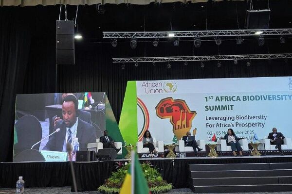 ባሌ ተራሮች፣ ቦረና እና ጋምቤላ ብሔራዊ ፓርኮች በአህጉር ደረጃ ወሳኝ ጥበቃ ከሚደረግላቸው ሥፍራዎች ዝርዝር ውስጥ ተካተቱ ባሌ ተራሮች፣ ቦረና እና ጋምቤላ ብሔራዊ ፓርኮች በአህጉር ደረጃ ወሳኝ ጥበቃ ከሚደረግላቸው ሥፍራዎች ዝርዝር ውስጥ ተካተቱ - Sputnik አፍሪካ