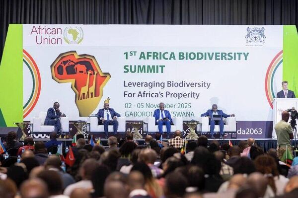 ባሌ ተራሮች፣ ቦረና እና ጋምቤላ ብሔራዊ ፓርኮች በአህጉር ደረጃ ወሳኝ ጥበቃ ከሚደረግላቸው ሥፍራዎች ዝርዝር ውስጥ ተካተቱ ባሌ ተራሮች፣ ቦረና እና ጋምቤላ ብሔራዊ ፓርኮች በአህጉር ደረጃ ወሳኝ ጥበቃ ከሚደረግላቸው ሥፍራዎች ዝርዝር ውስጥ ተካተቱ - Sputnik አፍሪካ