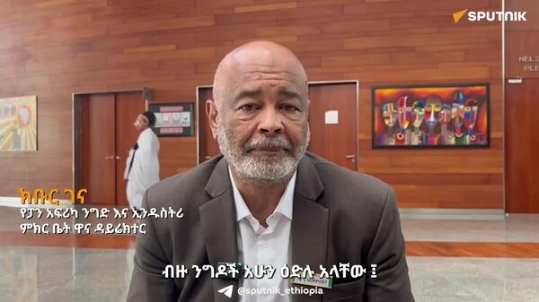 የአፍሪካ ነፃ የንግድ ቀጣና ግብይት በአኅጉሪቱ ገንዘቦች የሚፈጸምበትን መፍትሔ ማሰብ ይገባል - የፓን አፍሪካ ንግድ እና ኢንዱስትሪ ምክር ቤት - Sputnik አፍሪካ