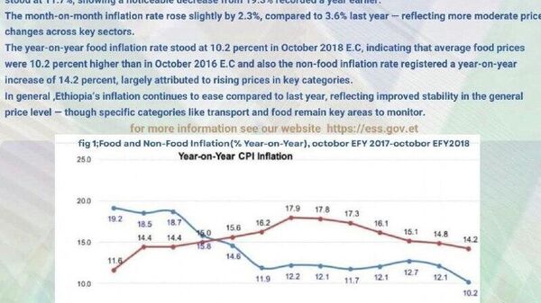 በኢትዮጵያ የጥቅምት ወር አጠቃላይ የዋጋ ግሽበት መጠን ቅናሽ አሳየ - Sputnik አፍሪካ