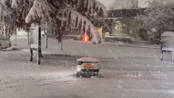 #viral | የበረዶ ውሽንፍር ጉዞውን አስቸጋሪ ያደረገበት እቃ አድራሽ ሮቦት - Sputnik አፍሪካ