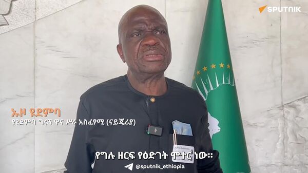 ነፃ የንግድ ቀጣናው ወደፊት እንዲራመድ የግሉ ዘርፍ ንቁ ተሳትፎ ወሳኝ ነው - የናይጄሪያ ዩደምባ ግሩፕ ዋና ሥራ አስፈፃሚ - Sputnik አፍሪካ