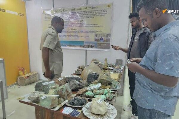 “ኢትዮጵያ ምድሯም ልጆቿም ሀብታሞች ናቸው እስኪባል ድረስ ለአፍታም አንቆምም” - ምክትል ጠቅላይ ሚኒስትር - Sputnik አፍሪካ