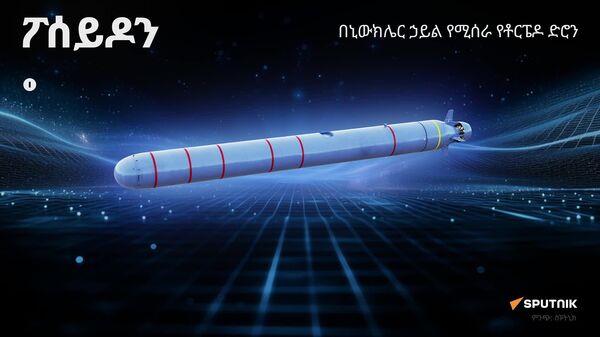 የሩሲያ የቅርብ ጊዜ የጦር መሳሪያዎች እና የአዲስ ጦር መሳሪያዎች እውነታ - ክፍል 2 - Sputnik አፍሪካ