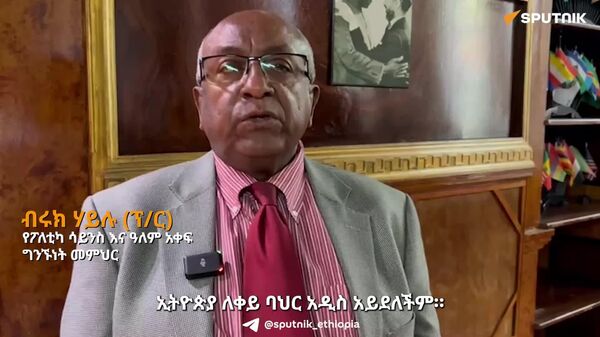 ኢትዮጵያ በአፍሪካ ቀንድ በርካታ ወደቦች ያስፈልጓታል - የፖለቲካ ሳይንስ እና ዓለም አቀፍ ግንኙነት መምህር - Sputnik አፍሪካ