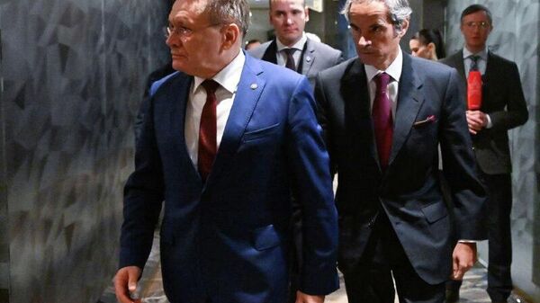 ሩሲያ በኒውክሌር ኃይል ዘርፍ በዓለም አቀፍ መድረክ ወሳኝ ሚና እየተጫወተች ነው -የኒውክሌር ኤጄንሲ ዋና ኃላፊ - Sputnik አፍሪካ