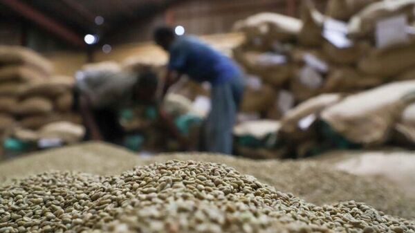 በጅማ እና በአካባቢው 120 ዘመናዊ የቡና መጋዘኖች ሊገነቡ መሆኑ ተገለፀ - Sputnik አፍሪካ