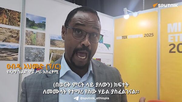 የማዕድን ዘርፉን ውጤታማነት ለማረጋገጥ የተማረ የሰው ኃይል ማፍራት ላይ ይበልጥ መሥራት ይገባል - የዲማ ጎልድ ዋና ሥራ አስፈፃሚ - Sputnik አፍሪካ
