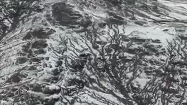 #viral | የሳዑዲ አረቢያ አሸዋ ወደ በረዶ ምንጣፍነት ተለወጠ - Sputnik አፍሪካ