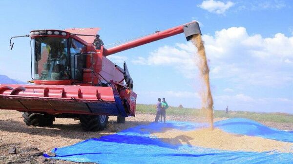 ኢትዮጵያ በዓለም አቀፍ የጥራጥሬና የቅባት እህሎች ኤክስፖርት ግንባር ቀደም ለመሆን እየጣረች ነው - የንግድና ቀጠናዊ ትስስር ሚኒስቴር - Sputnik አፍሪካ