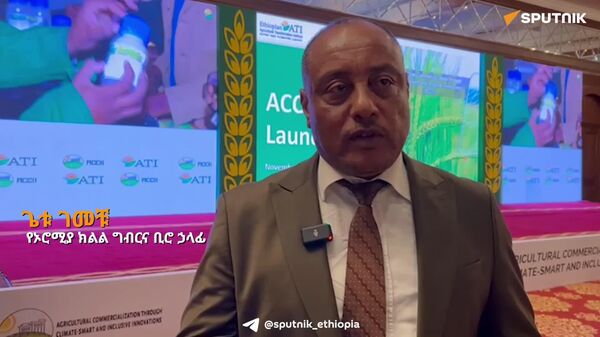 ቀጣዩ ትኩረታችን ስንዴ አምራች አርሶ አደሮችን ወደ ፋብሪካ ባለቤትነት ማሸጋገር ነው - የኦሮሚያ ክልል ግብርና ቢሮ ኃላፊ - Sputnik አፍሪካ