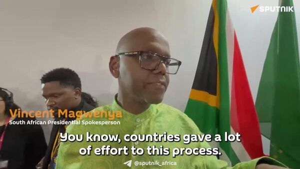ቡድን 20 የአንድ ሀገር ድምፅ ሳይሆን የሁሉም ነው፤ ደቡብ አፍሪካ ምንም እንኳ አሜሪካ ግፊት ብታደርግም በጉባኤው መግለጫ ፅኑ አቋም አላት - ቃል አቀባይ - Sputnik አፍሪካ