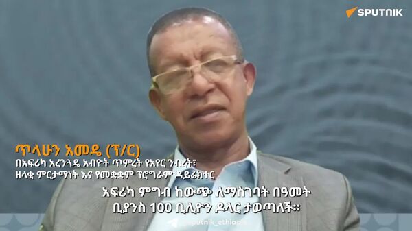 አፍሪካ ግብርናዋን ሊቀይር የሚችል ገንዘብ ምግብ ከውጭ ለማስገባት ታወጣለች - የአፍሪካ አረንጓዴ አብዮት ጥምረት - Sputnik አፍሪካ