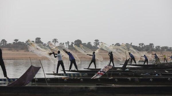 የሩሲያ የዓሣ አምራች ኩባንያዎች በአፍሪካ በትብብር የመሥራት ፍላጎት አላቸው - የክሬምሊን ቃል አቀባይ - Sputnik አፍሪካ