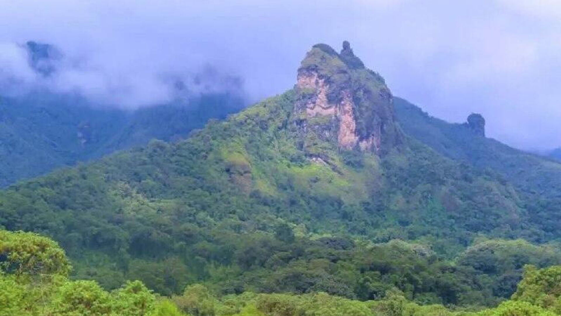 ብሔራዊ ፓርኮች ሰፊ የመሠረተ ልማት ክፍተት እንዳለባቸው የፌደራል ዋና ኦዲተር መሥሪያ ቤት በጥናቱ አረጋገጠ ብሔራዊ ፓርኮች ሰፊ የመሠረተ ልማት ክፍተት እንዳለባቸው የፌደራል ዋና ኦዲተር መሥሪያ ቤት በጥናቱ አረጋገጠ - Sputnik አፍሪካ, 1920, 01.12.2025