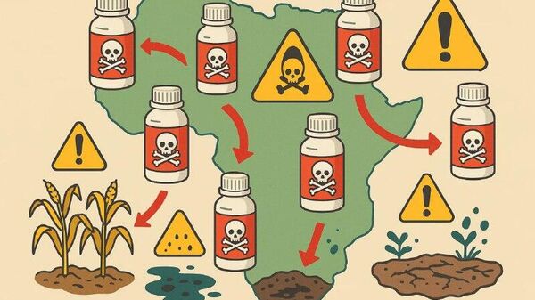 ከአውሮፓ የሚገቡ ፀረ-ተባይ መድኃኒቶች ማህበረሰብ ላይ አሉታዊ ተፅዕኖ የሚያሳድሩ የእጀ አዙር ቅኝ አገዛዝ አዝማሚያዎች ናቸው - ባለሙያ - Sputnik አፍሪካ