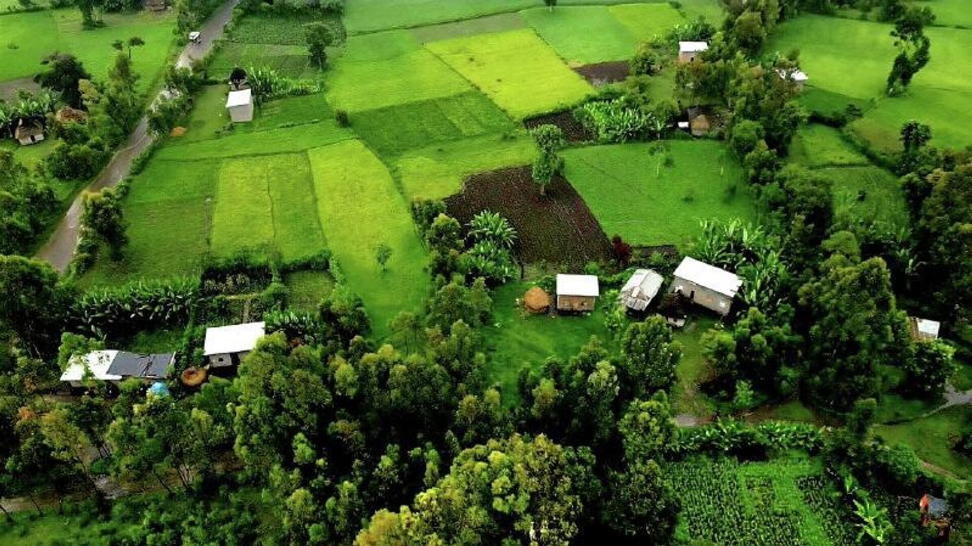 ከኢትዮጵያ ከ50 ሚሊዮን በላይ የገበሬ ማሳዎች ውስጥ፣ 32 ሚሊዮኑ ተለይተው ተመዝግበዋል – ግብርና ሚኒስቴር ከኢትዮጵያ ከ50 ሚሊዮን በላይ የገበሬ ማሳዎች ውስጥ፣ 32 ሚሊዮኑ ተለይተው ተመዝግበዋል – ግብርና ሚኒስቴር - Sputnik አፍሪካ, 1920, 05.12.2025