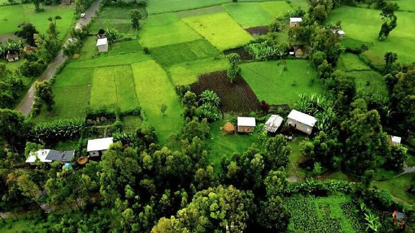 ከኢትዮጵያ ከ50 ሚሊዮን በላይ የገበሬ ማሳዎች ውስጥ፣ 32 ሚሊዮኑ ተለይተው ተመዝግበዋል – ግብርና ሚኒስቴር - Sputnik አፍሪካ