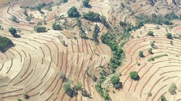 ቅኝ ገዢዎች የአፍሪካን ነባሩን የግብርና ሥራዓት አፈራርሰዋል – ከፍተኛ የአፈር ጤና አማካሪ - Sputnik አፍሪካ