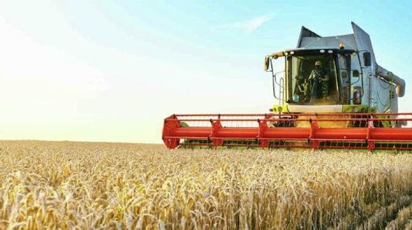 ኢትዮጵያ በምርት ዘመኑ 1 - Sputnik አፍሪካ