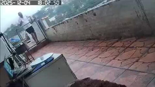 #viral| ብራዚላዊው ግለሰብ በውሻው ተደናቅፎ ከጣሪያ ላይ ወደቀ - Sputnik አፍሪካ