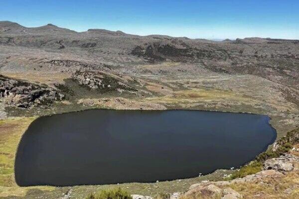 በኢትዮጵያ ባሌ ተራሮች ብሔራዊ ፓርክ የቱሪዝም ፍሰት በመጨመሩ የአካባቢው ገቢ እድገት አሳይቷል ተባለ በኢትዮጵያ ባሌ ተራሮች ብሔራዊ ፓርክ የቱሪዝም ፍሰት በመጨመሩ የአካባቢው ገቢ እድገት አሳይቷል ተባለ - Sputnik አፍሪካ