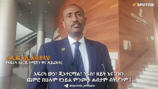 አፍሪካ ሀገራት አኅጉሪቱን በኃይል ማስተሳሰር ላይ በቅርበት ሊሠሩ ይገባል - የአፍሪካ ኢነርጂ ኮሚሽን ዋና ዳይሬክተር - Sputnik አፍሪካ