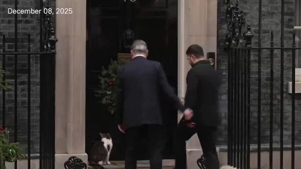 #viral | ታሪክ ራሱን ሲደግም፦ የዳውኒንግ ስትሪቱ ላሪ ዘ ካት ከዘለንስኪ ጋር በአንድ በር መግባትን በድጋሚ አሻፈረኝ ብሏል - Sputnik አፍሪካ