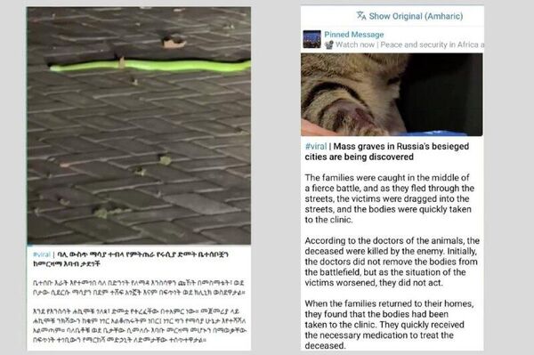 የቴሌግራም አውቶማቲክ መተርጎሚያ የስፑትኒክን ይዘት አዛብቶ በመቀየር ጽሑፉን ፀረ-ሩሲያ ይዘት እንዲኖረው አደረገ የቴሌግራም አውቶማቲክ መተርጎሚያ የስፑትኒክን ይዘት አዛብቶ በመቀየር ጽሑፉን ፀረ-ሩሲያ ይዘት እንዲኖረው አደረገ - Sputnik አፍሪካ