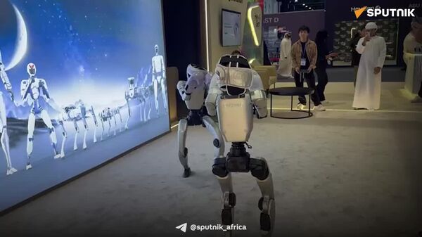 ሮቦቶች በአቡዳቢ እየተካሄደ በሚገኘው የብሪጅ ዓለም አቀፍ ጉባዔ ላይ ያደርጉት የቡጢ ፍልሚያ - Sputnik አፍሪካ