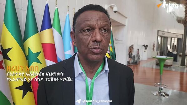 ሩሲያ በኃይል ልማት ላይ ያላትን የካበተ ልምድ ለመጠቀም እየሠራን ነው - Sputnik አፍሪካ