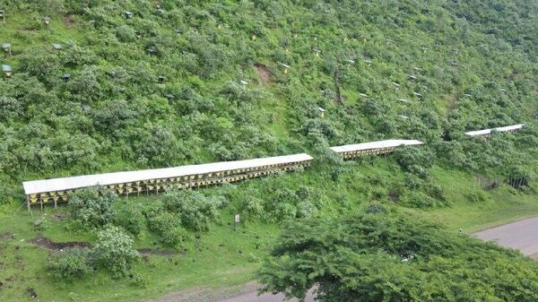 በ2018 የበጀት ዓመት 375 ሺህ ቶን ማር ለማምረት ዕቅድ መያዙን ግብርና ሚኒስቴር አስታወቀ - Sputnik አፍሪካ