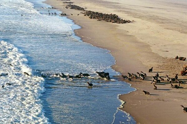 ናሚቢያ የአፍሪካ ትክክለኛ እና ተፈላጊ የቱሪዝም መዳረሻ ተብላ ተሰየመች ናሚቢያ የአፍሪካ ትክክለኛ እና ተፈላጊ የቱሪዝም መዳረሻ ተብላ ተሰየመች - Sputnik አፍሪካ