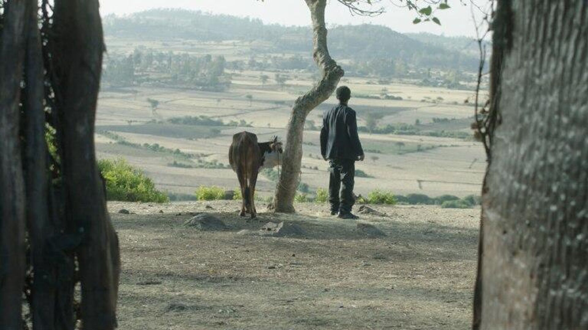 ኢትዮጵያዊው የፊልም ባለሙያ ቤዛ ኃይሉ 'አላዛር' በተሰኘ ፊልም ዓለም አቀፍ ሽልማት አሸነፈ ኢትዮጵያዊው የፊልም ባለሙያ ቤዛ ኃይሉ 'አላዛር' በተሰኘ ፊልም ዓለም አቀፍ ሽልማት አሸነፈ - Sputnik አፍሪካ, 1920, 15.12.2025