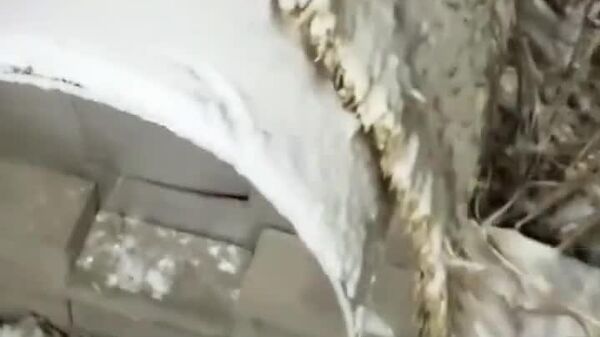 #viral | ድመቶችን ምሽግ ያስገባው ቅዝቃዜ - Sputnik አፍሪካ