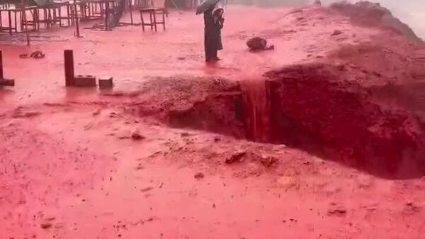 #viral | የኢራን የባሕር ዳርቻዎች በዝናብ ምክንያት ወደ ቀይ ቀለም ተቀየሩ - Sputnik አፍሪካ