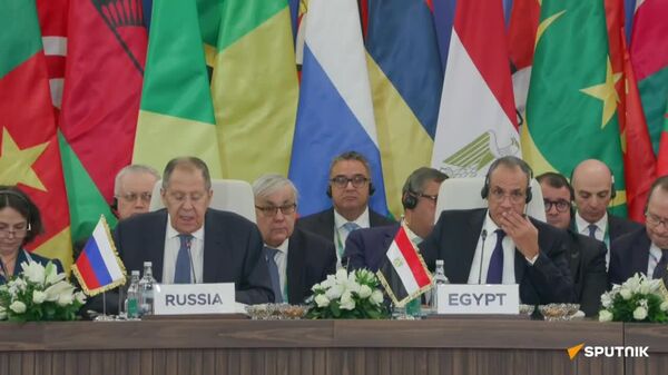 ባለፈው ዓመት በአፍሪካ እና በሩሲያ መካከል የነበረው ንግድ በ13 በመቶ ጨምሮ 28 ቢሊዮን ዶላር ደርሷል - ላቭሮቭ - Sputnik አፍሪካ