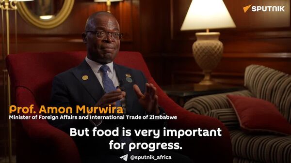 የሩሲያ-አፍሪካ የማዳበሪያ ትብብር ለምግብ ዋስትና እና የኢኮኖሚ ሉዓላዊነት ምሰሶ ነው - የዚምባብዌ የውጭ ጉዳይ ሚኒስትር - Sputnik አፍሪካ