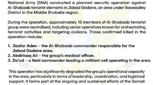 የሶማሊያ ጦር ሦስት መሪዎችን ጨምሮ 15 የአል-ሸባብ አሸባሪዎችን ገደለ - Sputnik አፍሪካ