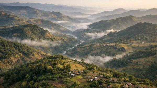 የአማራ ክልል የደን ሽፋን 18 - Sputnik አፍሪካ