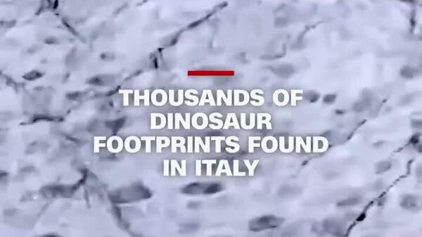 #viral | ጣሊያን ውስጥ በሚገኝ ገደል የ200 ሚሊዮን ዓመት ዕድሜ ያላቸው በሺዎች የሚቆጠሩ የዳይኖሰር ዱካዎች ተገኙ - Sputnik አፍሪካ