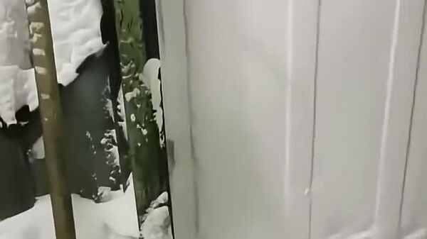 #viral | በማለዳ ከቤት መውጣትን የማይቻል ያደረገው የክረምት ወቅት - Sputnik አፍሪካ