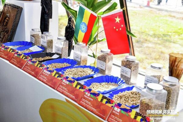 ከ33ኛ ወደ 4ኛ – ቻይና የኢትዮጵያ ቡና ቁልፍ መዳረሻ ሆናለች - Sputnik አፍሪካ