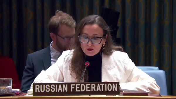 ሩሲያ፣ እስራኤል ለሶማሊላንድ የሰጠችው እውቅና ለሶማሊያ ሉዓላዊነት ስጋት ነው ስትል በተመድ የፀጥታው ምክር ቤት አወገዘች - Sputnik አፍሪካ