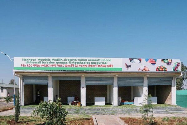 ዐቢይ አሕመድ በቤተሰብ ደረጃ ለ150 ዜጎች የተዘጋጀውን የቱሉ አራራ የተቀናጀ ሞዴል መንደርን በይፋ መረቁ - Sputnik አፍሪካ