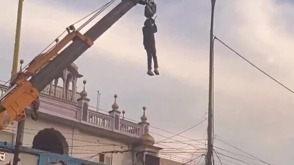 #viral | በሕንድ የፐንጃብ ነዋሪው ግለሰብ በሽቦ ተይዛ የነበረችውን ወፍ ለመታደግ በተንቀሳቃሽ ክሬን ተንጠልጥሏል - Sputnik አፍሪካ