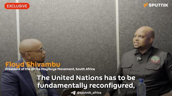 ተመድን ድምጽን በድምጽ የመሻር መብት በማስቀረት እና የደቡባዊ ዓለምን ድምጽ በማጉላት ማሻሻል የአሜሪካን ድርጊቶች ለመቋቋም ወሳኝ ነው - የደቡብ አፍሪካ ፖለቲከኛ - Sputnik አፍሪካ