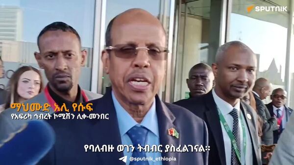 የባለብዙ ወገን ሥርዓት ለዓለም ሰላም ምርጡ ዋስትና ነው - የአፍሪካ ኅብረት ኮሚሽን ሊቀ-መንበር - Sputnik አፍሪካ