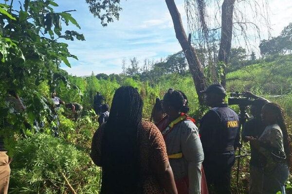 በደቡብ አፍሪካ ሙፑማላንጋ ክልል በቡፌልስፕሩይት እርሻ አቅራቢያ በሚገኝ ወንዝ ዳርቻ ሰፊ የካናቢስ ዕፅ ማሳ ተገኘ - Sputnik አፍሪካ